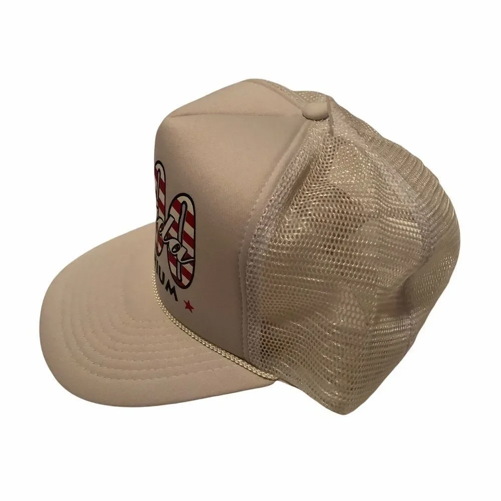 NEW ERA - 𝅺Vintage 2000 Florida USA Millennium White Trucker Hat Snapback